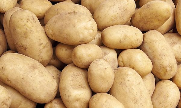 Bangladesh imports over 2,000 tons of seed potato from the Netherlands