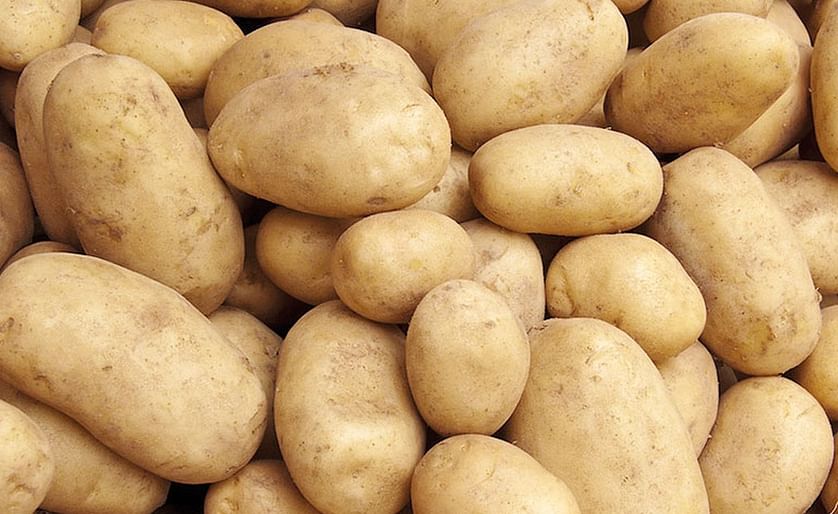 Imported seed potatoes include varieties such as&nbsp;Diamond, Carolus, Margarita, Barcelona, and Accent
