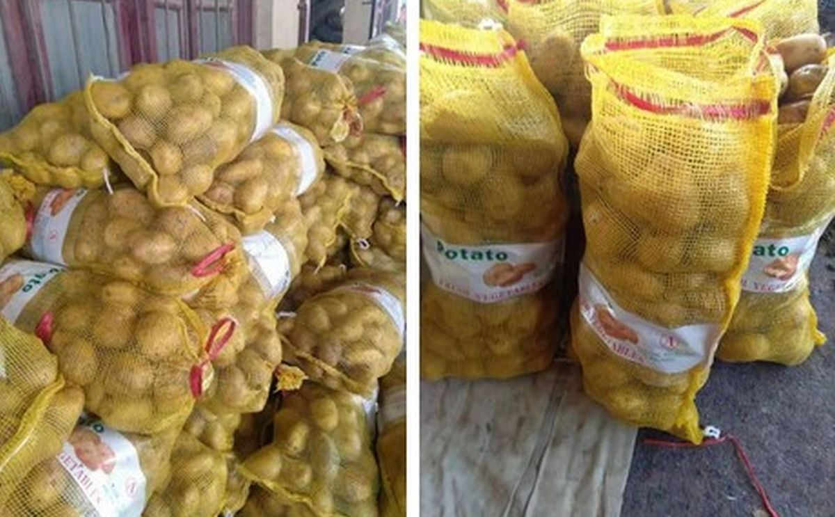 Patatas holandesas de baja calidad: los comerciantes sudamericanos miran hacia China Patatas holandesas de baja calidad: los comerciantes sudamericanos miran hacia China