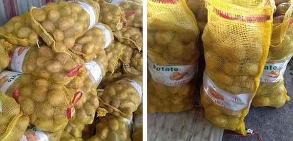 Patatas holandesas de baja calidad: los comerciantes sudamericanos miran hacia China