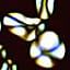 Potato Starch and Derivates