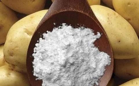 Russia is planning the construction of a potato processing plant in the Smolensk region Russia is planning the construction of a potato processing plant in the Smolensk region