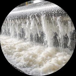 Potato Starch Processing Plant – Engineering & EPCM Services