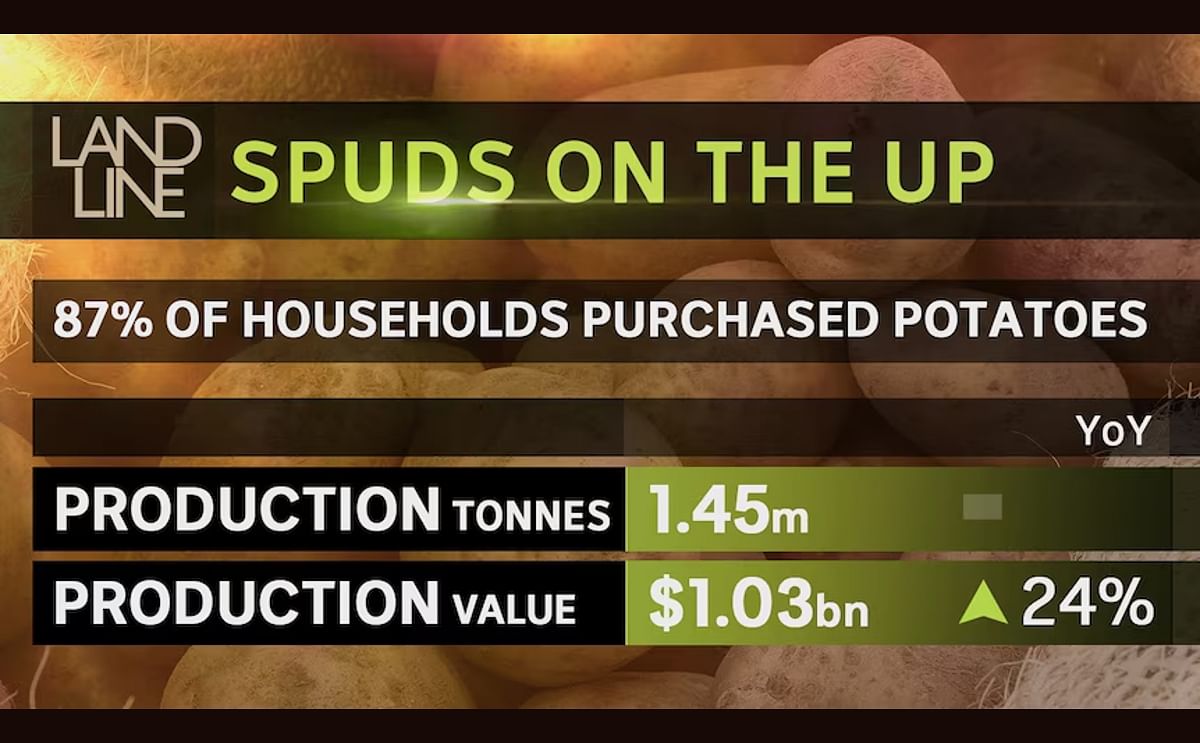 Potato stats from the Australian Horticulture Statistics Handbook 2022/23.( Courtesy: ABC Landline) Potato stats from the Australian Horticulture Statistics Handbook 2022/23.( Courtesy: ABC Landline)