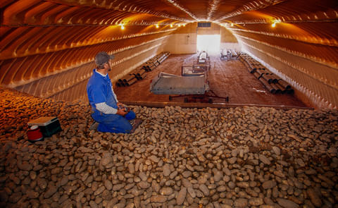 Potato Storage Building Potato Storage Building