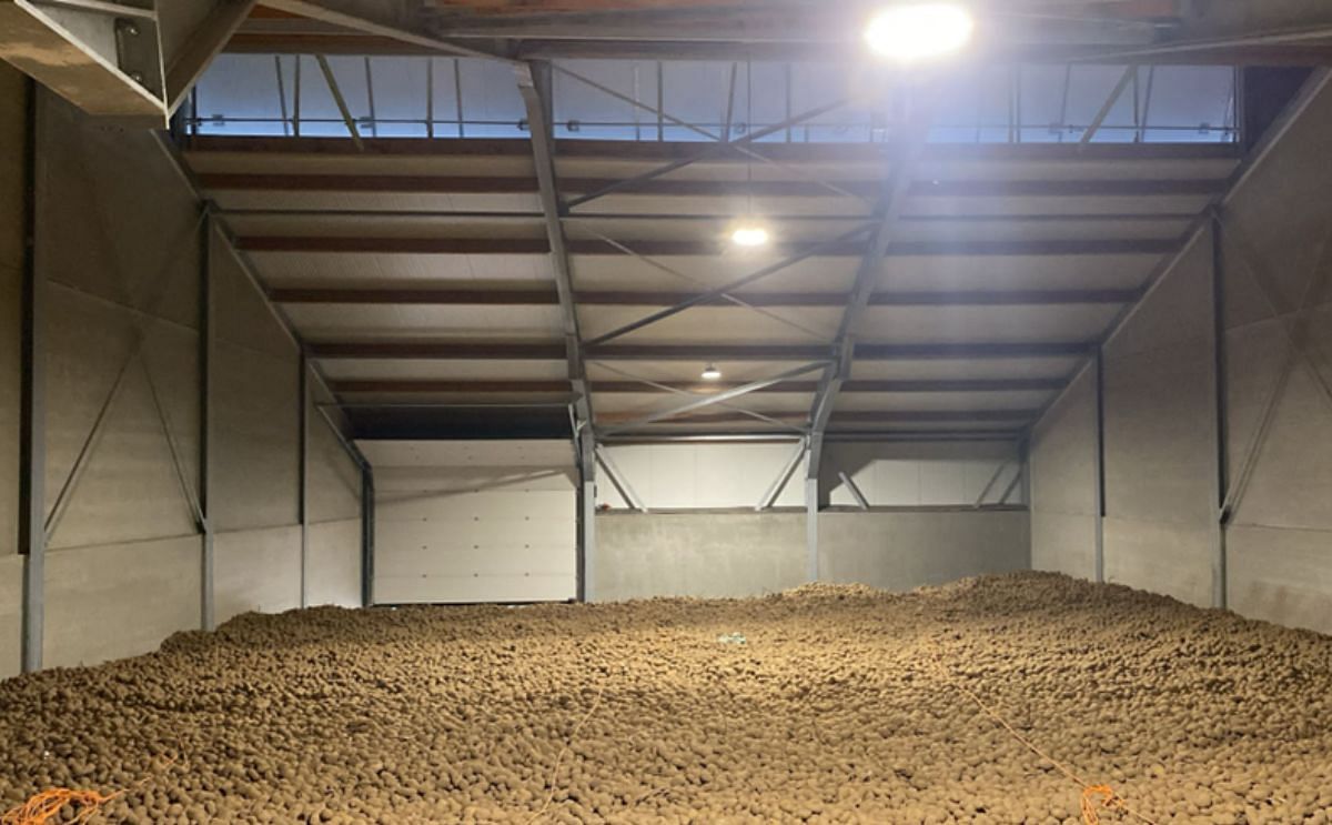 Tough harvest, how to proceed in storage? Tough harvest, how to proceed in storage?