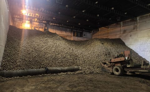 The final potatoes remain in storage at Royal Avebe's Solan facility in Poland before being transferred to production, marking the closing phase of the site's first joint processing campaign. The final potatoes remain in storage at Royal Avebe's Solan facility in Poland before being transferred to production, marking the closing phase of the site's first joint processing campaign.