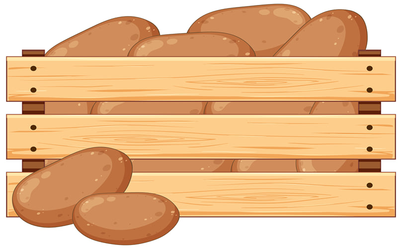 Structural Design and Airflow Features of Potato Storage Bins Structural Design and Airflow Features of Potato Storage Bins