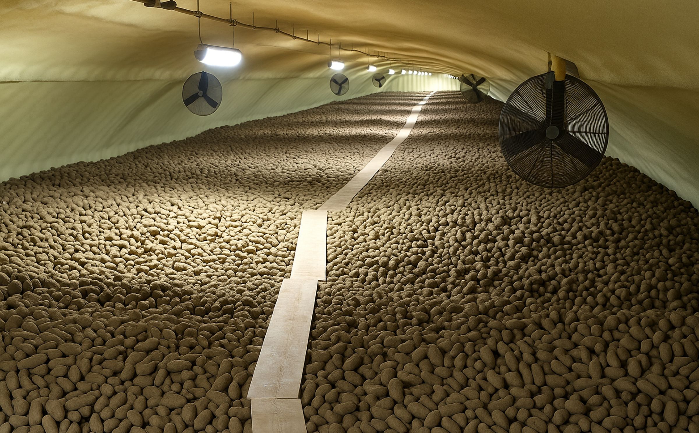USDA: 9 Percent More Potatoes in Stock than on June 1, 2017