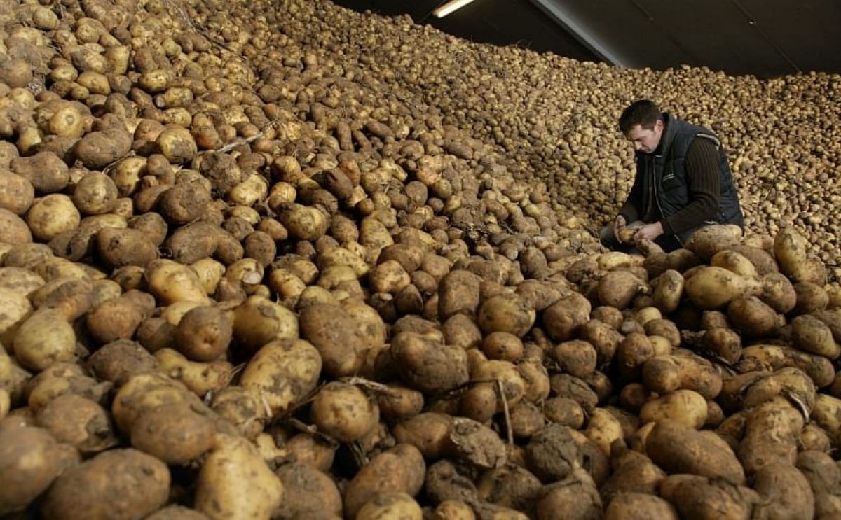 Time to sort out Food Waste, says TOMRA Time to sort out Food Waste, says TOMRA