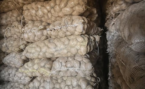 Potatoes in bags Potatoes in bags