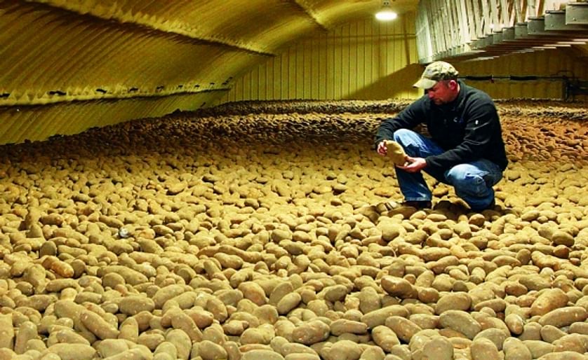Major US Potato States held 263 million cwt in stock per December 1, 2014