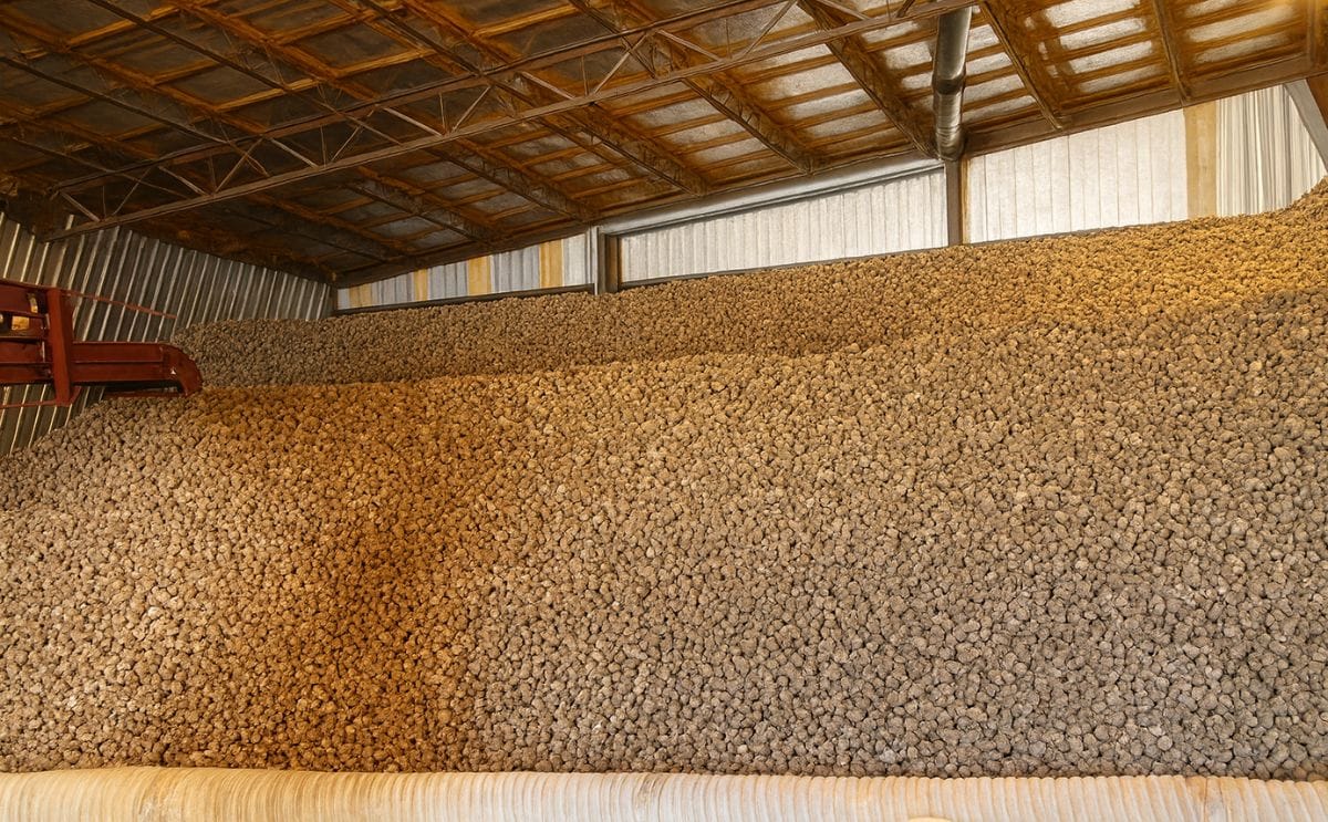 US Potato Stocks Up 9 Percent from April 2014