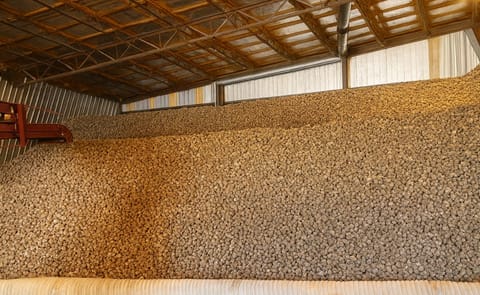 US Potato Stocks Up 9 Percent from April 2014 US Potato Stocks Up 9 Percent from April 2014