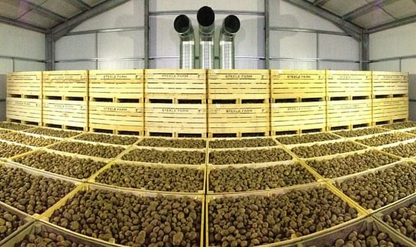 Amount of stored potatoes in Europe high compared to previous years