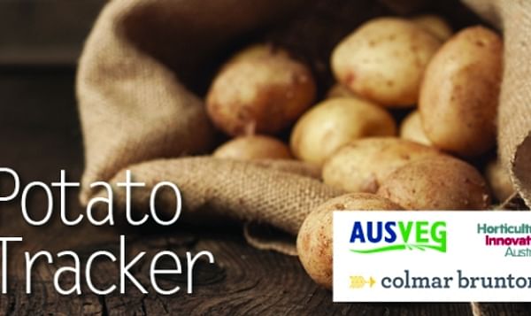 Potatoes fuelling Aussie families
