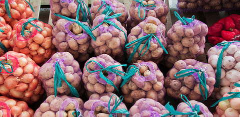 Export value increases for all U.S. potato types from July – Dec. 2022