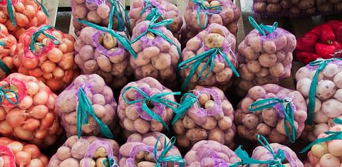 Chinese potatoes have appeared on the trading platforms in Primorsky Krai