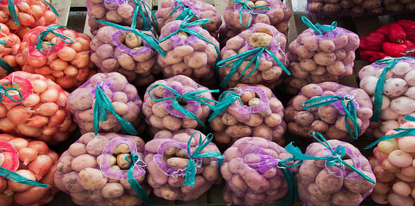 Chinese potatoes have appeared on the trading platforms in Primorsky Krai
