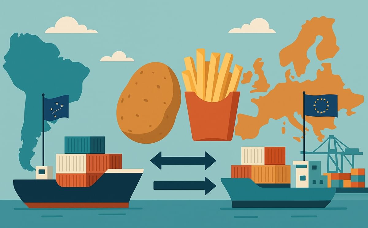 Europa regula, LATAM produce. Con el Mercosur–UE en la mesa, la papa industrial enfrenta su mayor prueba: competir cumpliendo nuevas reglas.