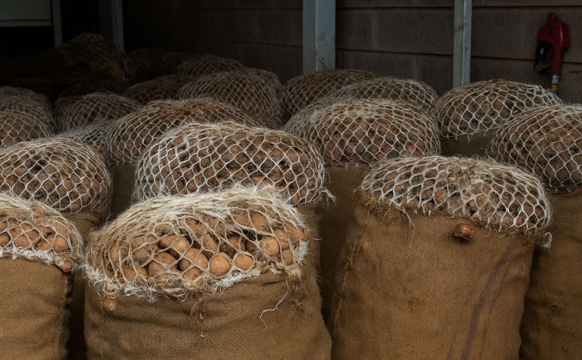 Potato Value Chain Africa website to be launched at Eldoret Agri-Trade Fair, Kenya