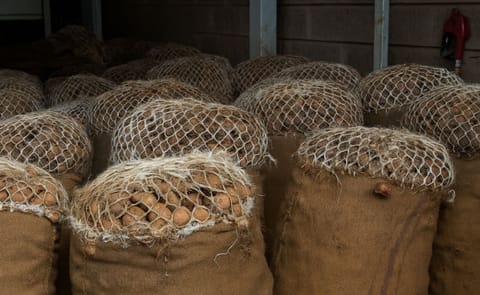 Potato Value Chain Africa website to be launched at Eldoret Agri-Trade Fair, Kenya Potato Value Chain Africa website to be launched at Eldoret Agri-Trade Fair, Kenya