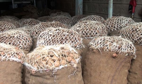 Potato Value Chain Africa website to be launched at Eldoret Agri-Trade Fair