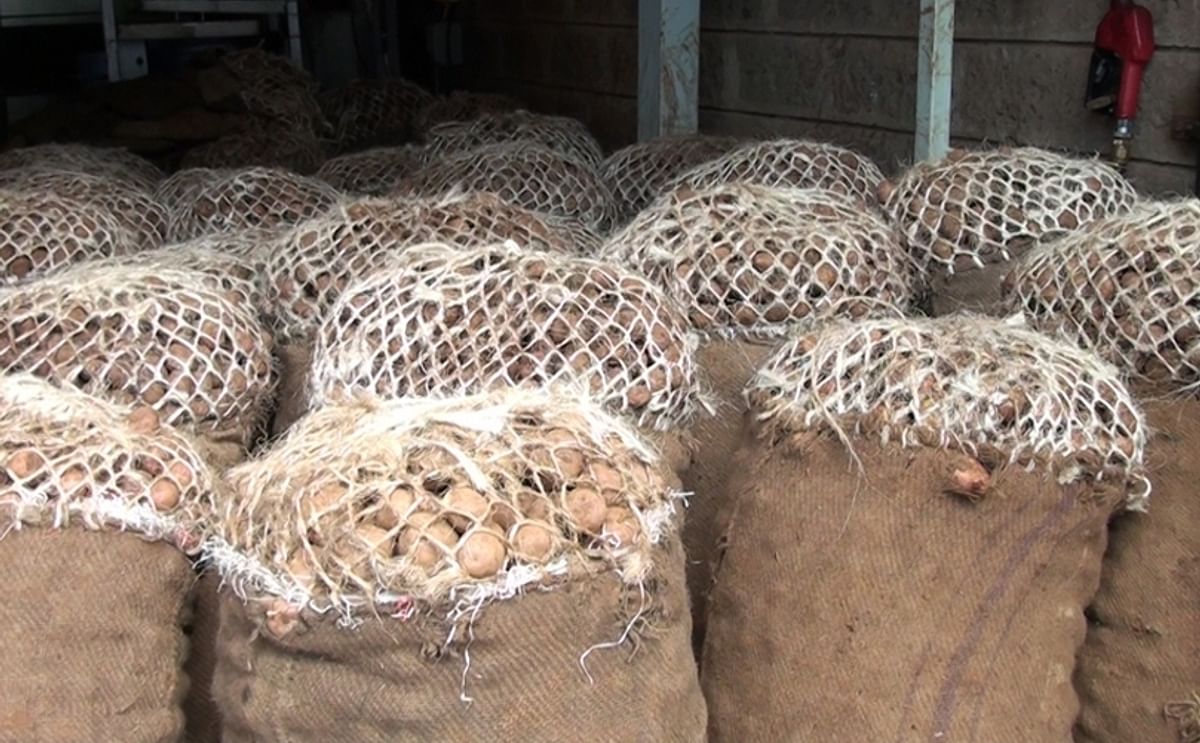 Potato Value Chain Africa website to be launched at Eldoret Agri-Trade Fair, Kenya