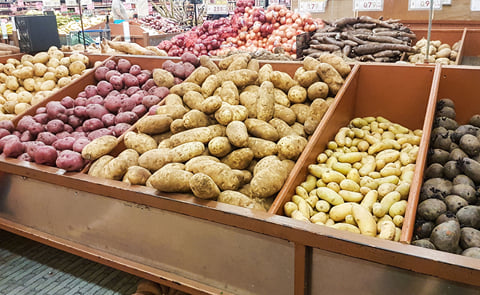 Potato Trade Potato Trade
