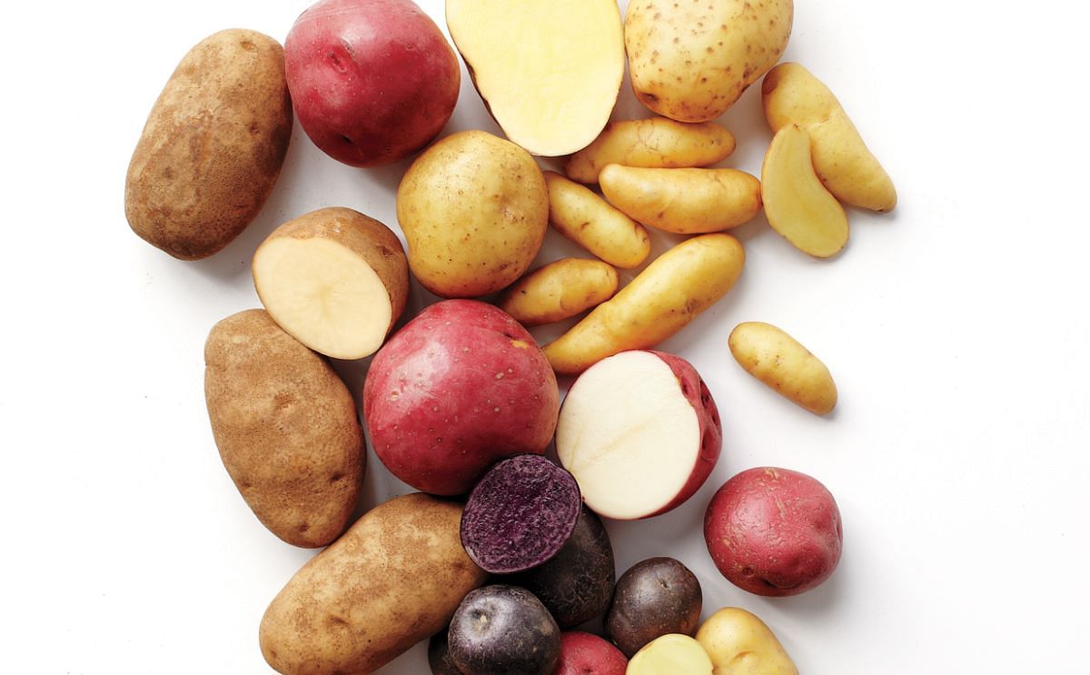 Wageningen University &amp; Research (WUR) studies wild potatoes for new pest-free potato varieties
