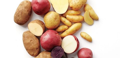 Wageningen University & Research (WUR) studies wild potatoes for new pest-free potato varieties
