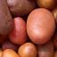 Potatoes