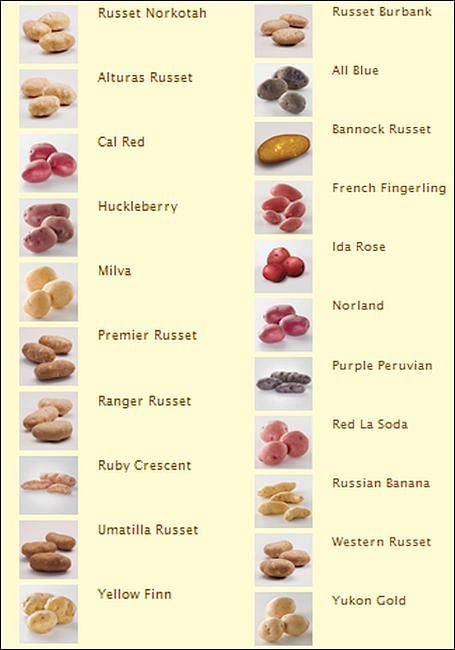Potato varieties grown in Idaho New Idaho potato varieties
