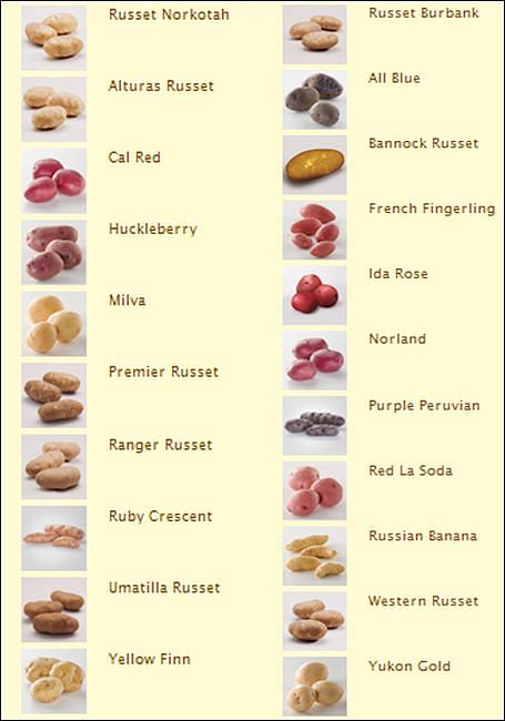 New Idaho potato varieties