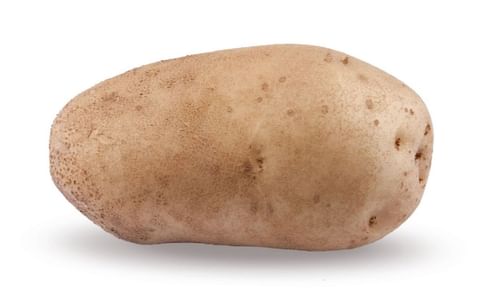 Alverstone Russet. Alverstone Russet.