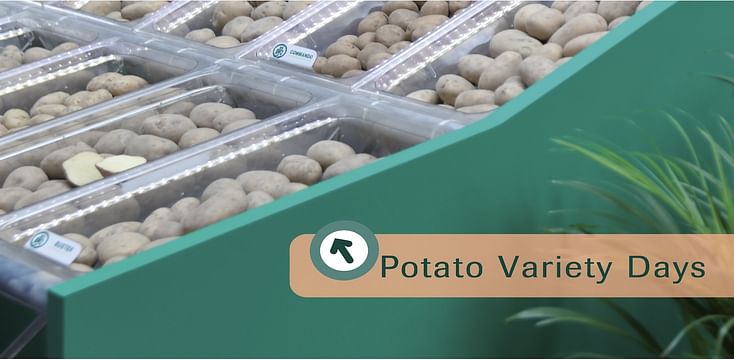 potato-variety-days-logo-1600.jpg