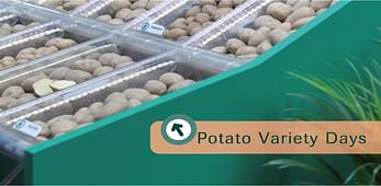 potato-variety-days-logo-1600.jpg