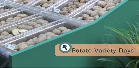 potato-variety-days-logo-1600.jpg potato-variety-days-logo-1600.jpg