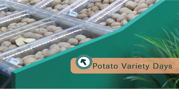 potato-variety-days-logo-1600.jpg
