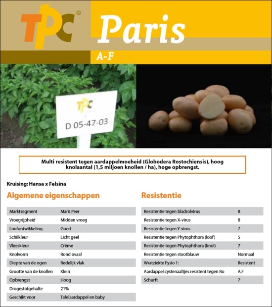 Paris, het nieuwste ras van TPC is dit jaar toegelaten op de Nederlandse rassenlijst. Voor meer informatie over Paris en de andere rassen van TPC, download de brochure Paris, het nieuwste ras van TPC is dit jaar toegelaten op de Nederlandse rassenlijst. Voor meer informatie over Paris en de andere rassen van TPC, download de brochure