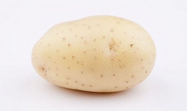 potato-variety-rashida-1200.jpeg