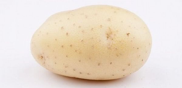 potato-variety-rashida-1200.jpeg
