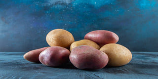Potato Variety Potato Variety