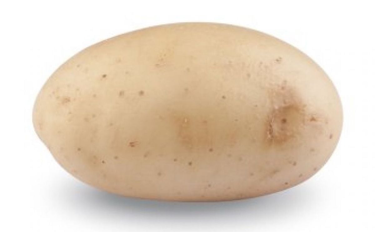 Sababa
