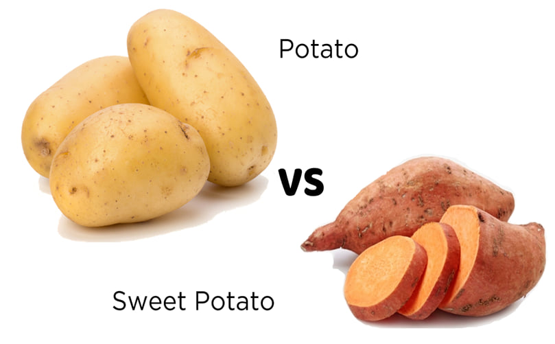 Root vs Tuber: The Real Science Behind Sweet Potatoes and Potatoes Root vs Tuber: The Real Science Behind Sweet Potatoes and Potatoes