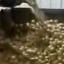 Potato Washing Equipment