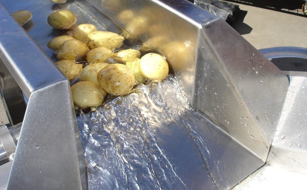 Potato Washing Equipment Rep