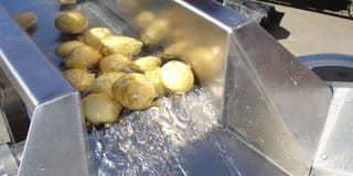 Potato Washing Equipment Rep Potato Washing Equipment Rep