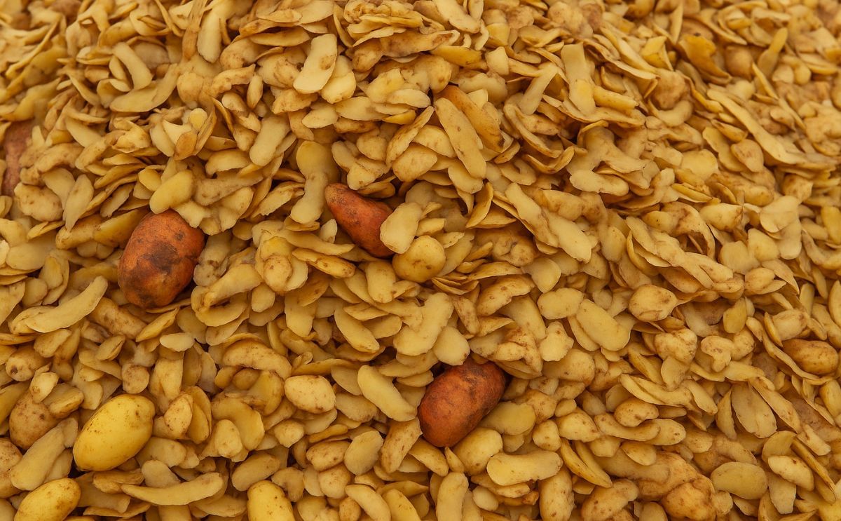 Researchers in India developed technology to convert potato waste into cattle feed Researchers in India developed technology to convert potato waste into cattle feed