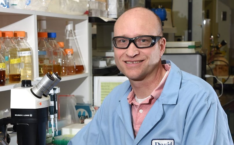 INL research scientist David Reed and his colleagues have found a type of bacteria, Gluconobacter oxydans, that produces organic acids suitable for extracting rare earth elements from electronics and industrial catalysts. INL research scientist David Reed and his colleagues have found a type of bacteria, Gluconobacter oxydans, that produces organic acids suitable for extracting rare earth elements from electronics and industrial catalysts.